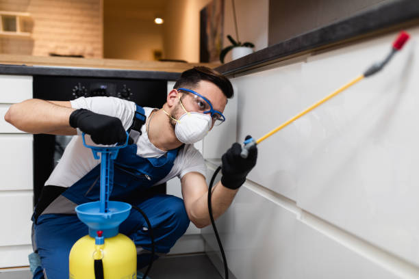 Pest Prevention Services in Harwich Center, MA