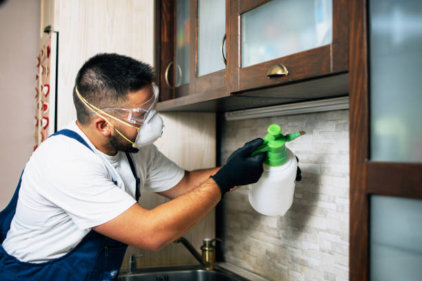 Best Exterminator Services  in Harwich Center, MA