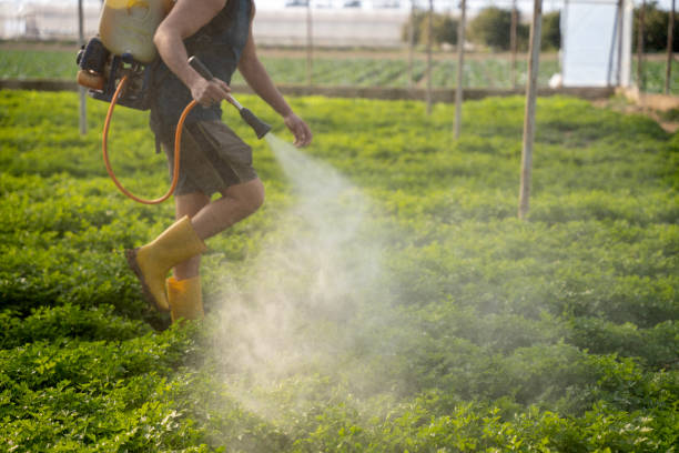 Best Local Pest Control Services  in Harwich Center, MA