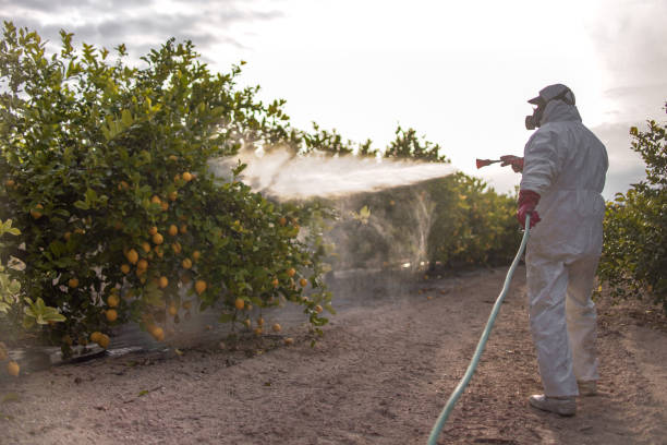 Wildlife Control Services in Harwich Center, MA