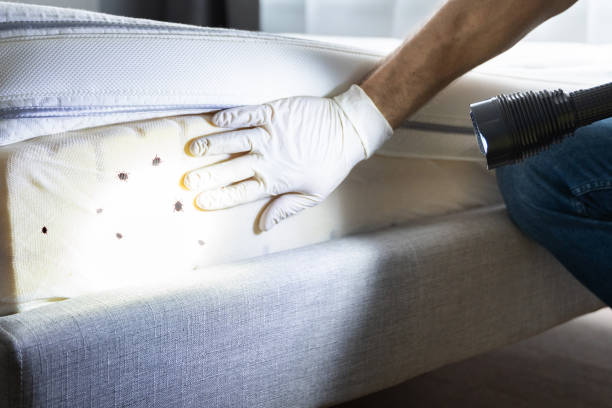 Best Affordable Pest Control Services  in Harwich Center, MA